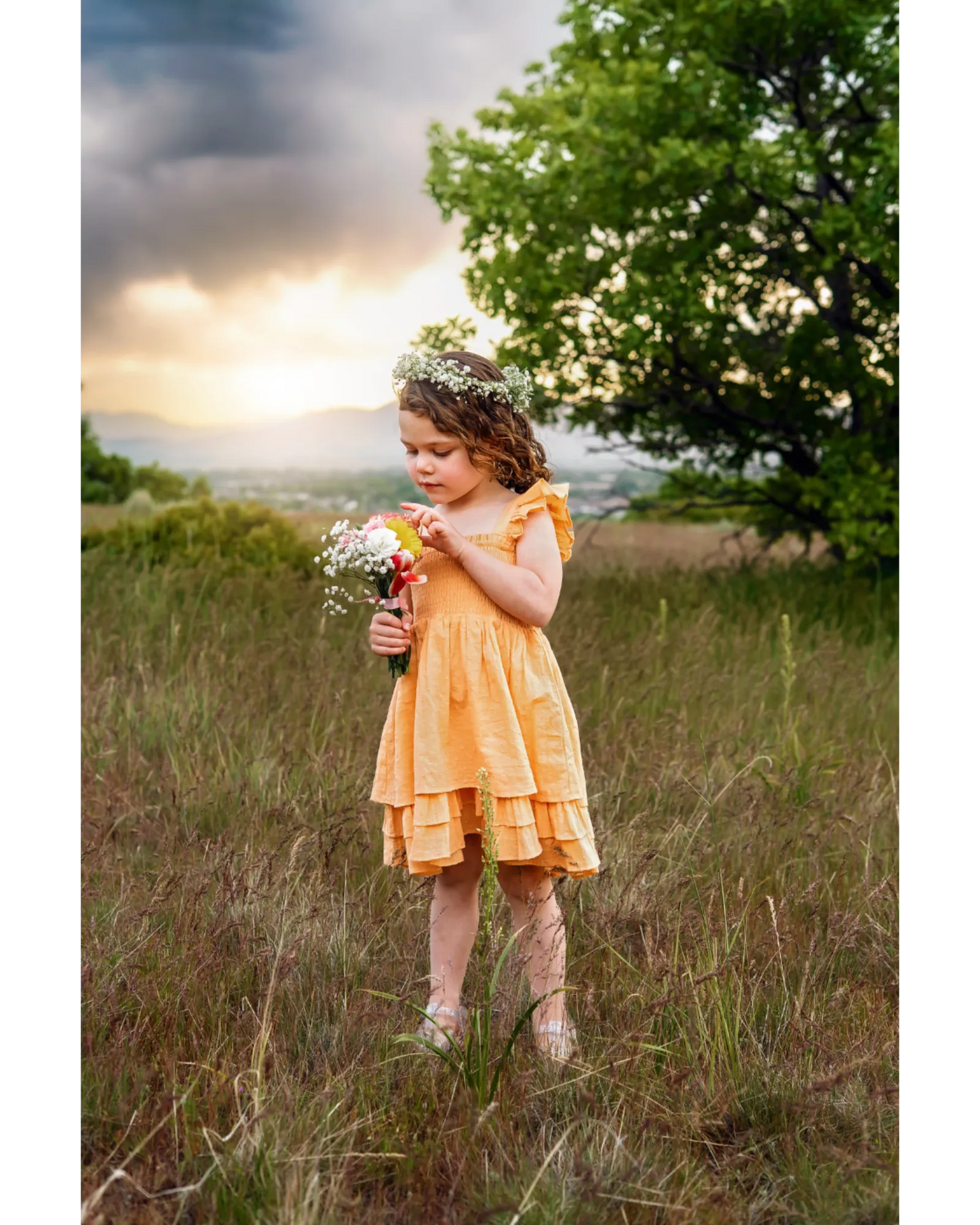 Sweet Pea Dress - Creamsicle