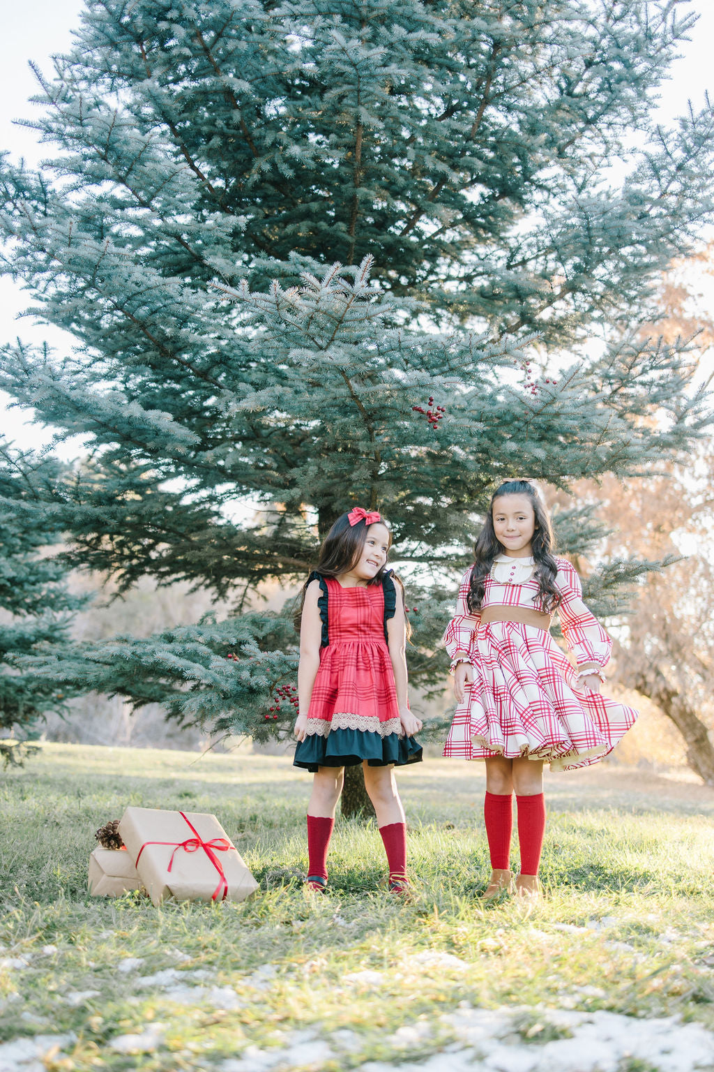 Gingerbread Plaid Twirl Dress