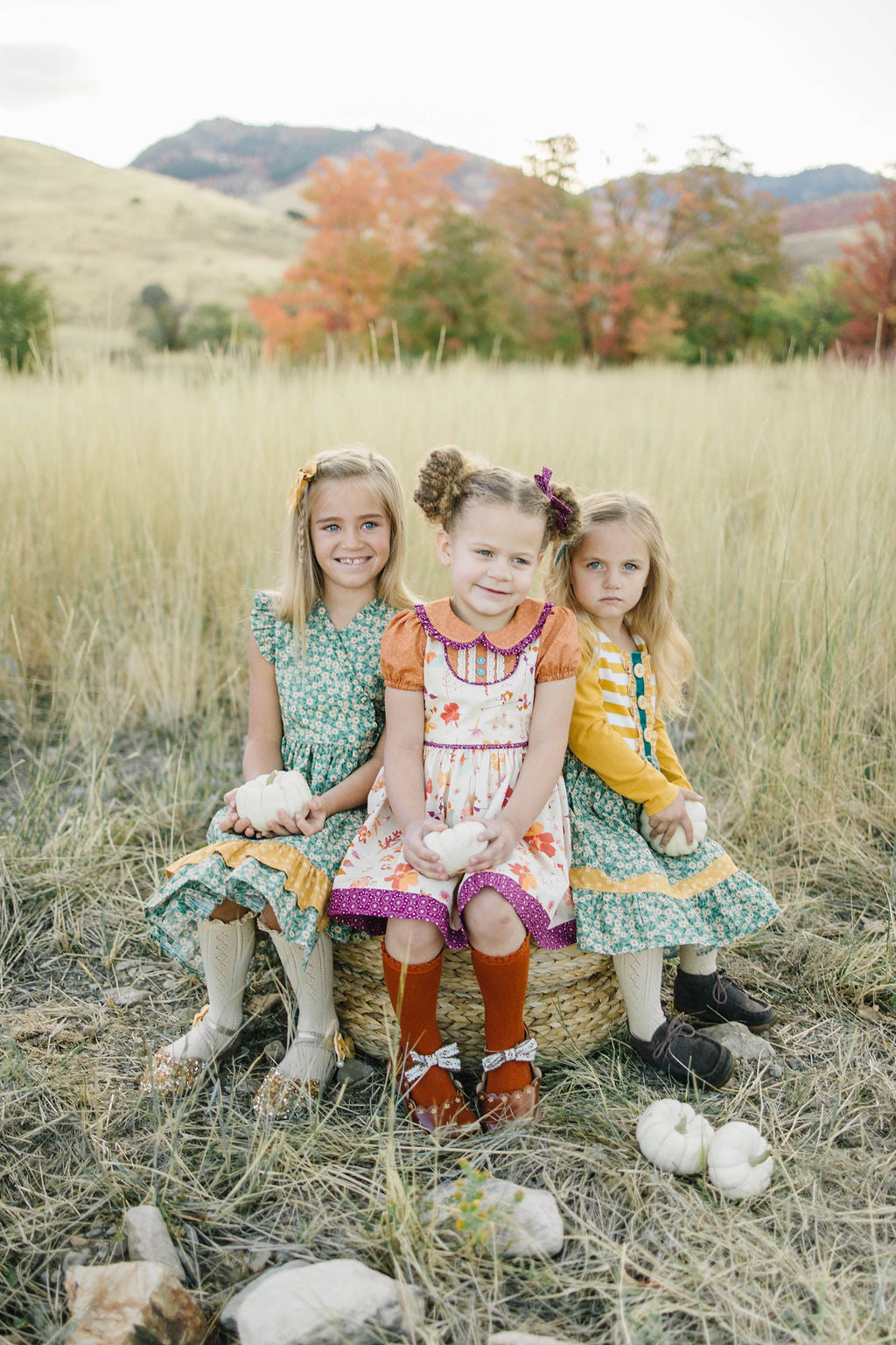 Wildflower Wonder Collared Dress